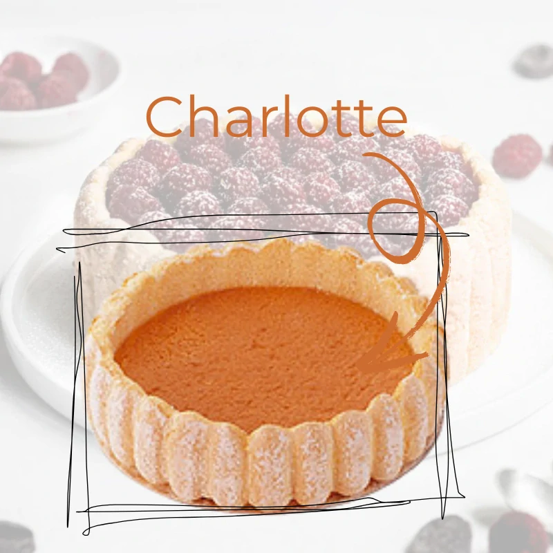 Tortový korpus Charlotta 1ks