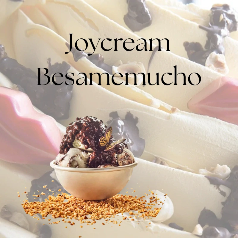 Joycream Besamemucho 5kg