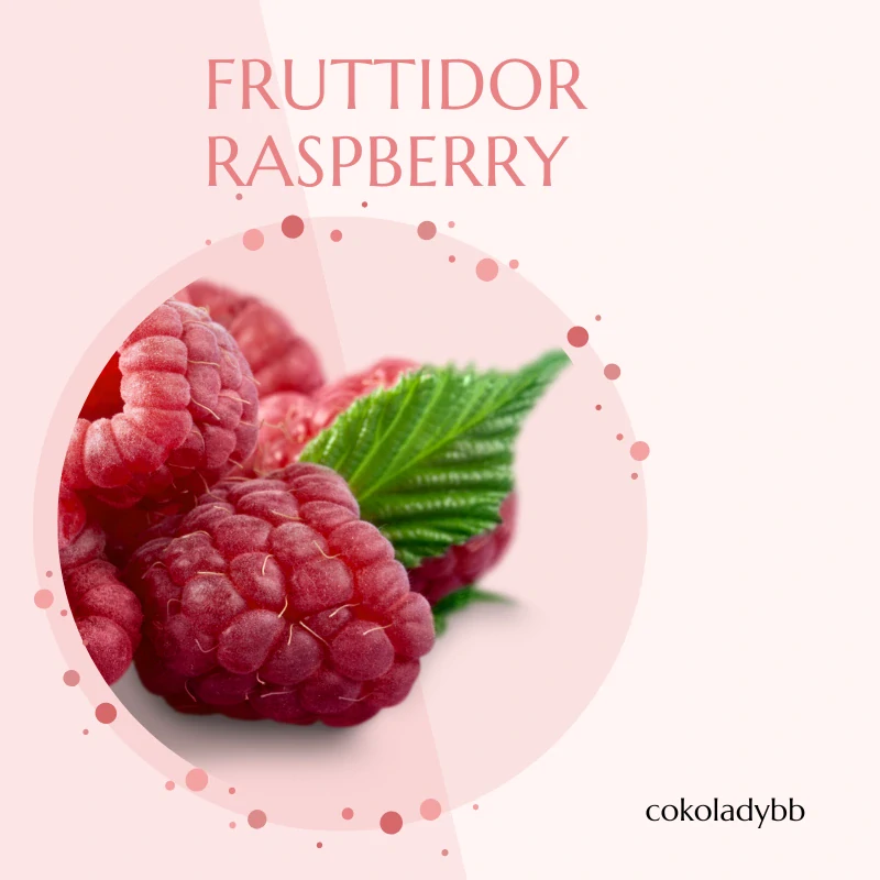 Fruttidor Raspberry/ Lampone 3,3kg- ovocná náplň Malina