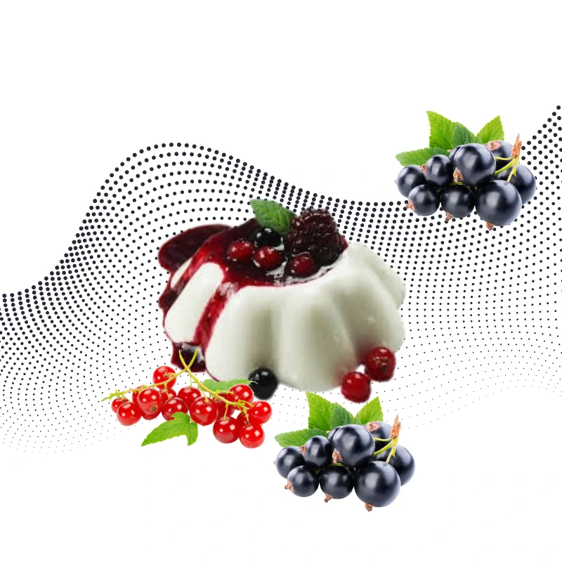 Fruit topping&filling  Black and red currant 2,6kg  