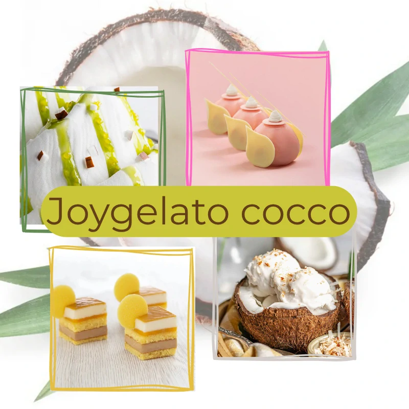 Joygelato Cocco 1kg 