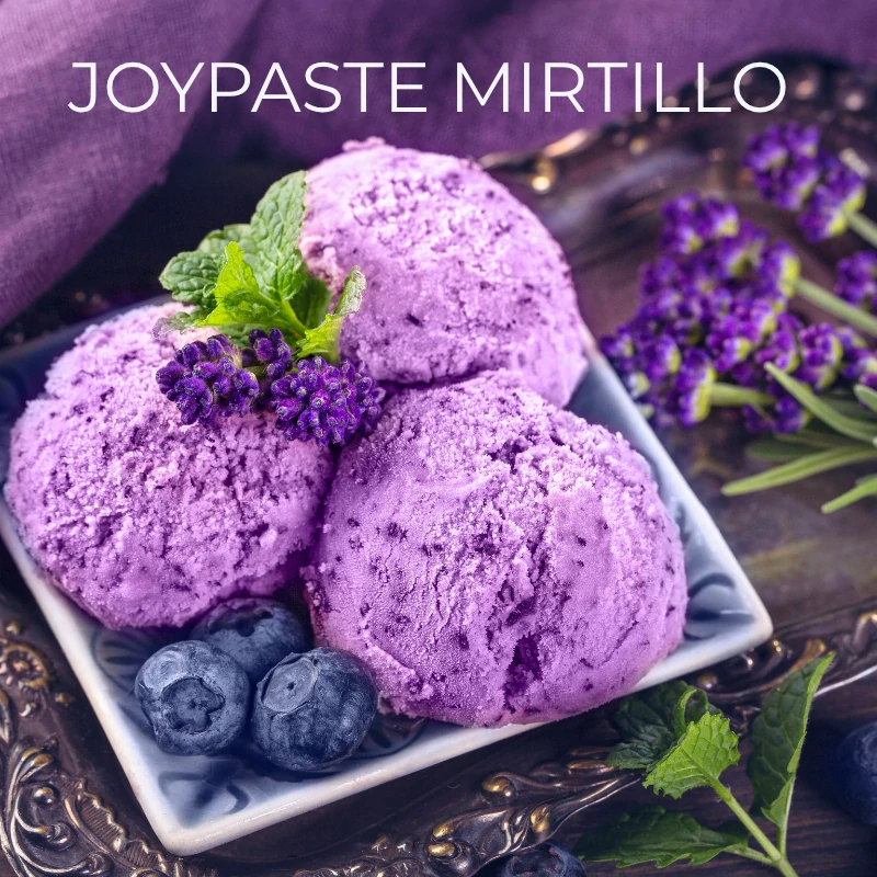 Joypaste Mirtillo 1,2kg