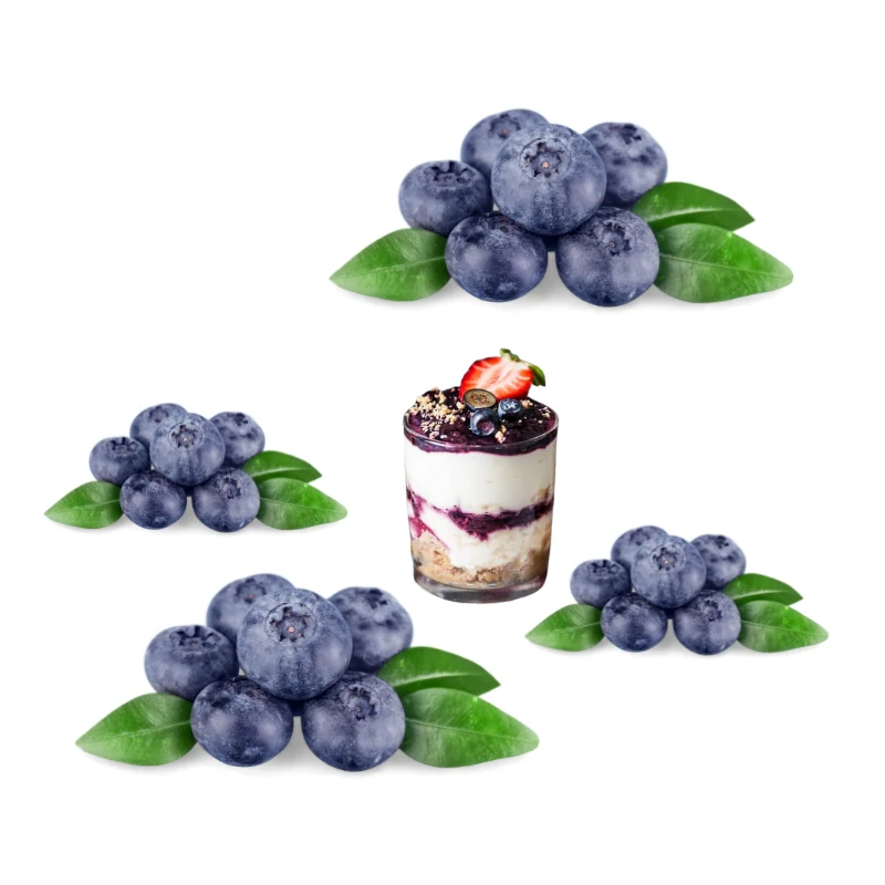 Fruit Topping&filling Blueberry 60%, 2,6kg