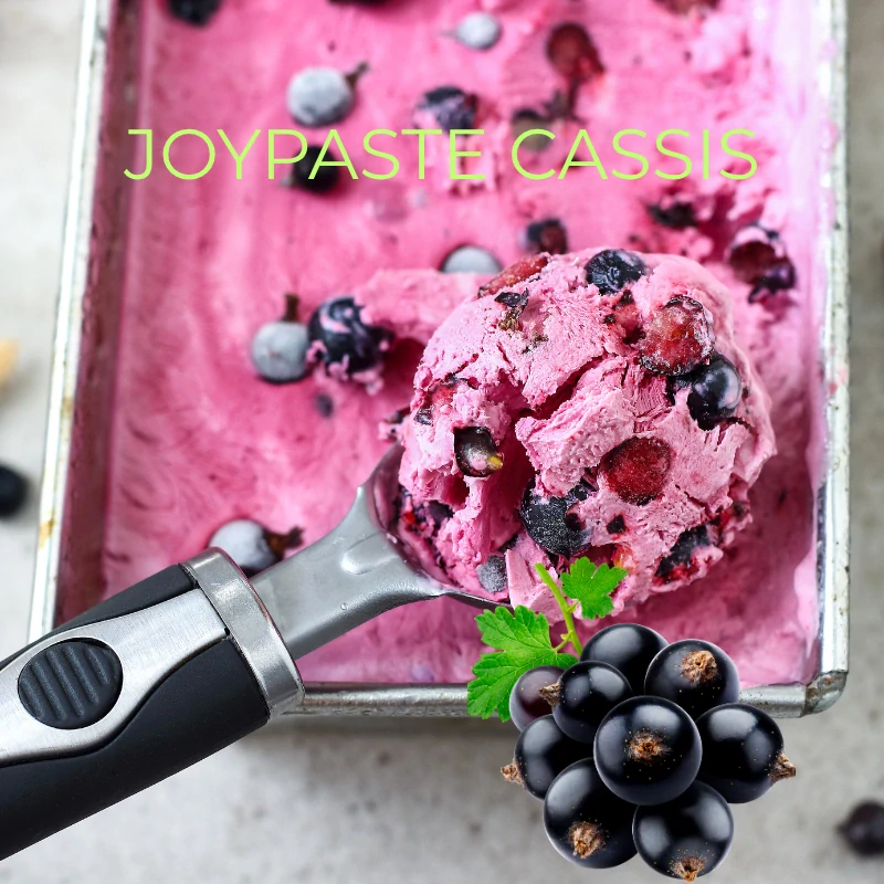 Joypaste Cassis 1,2kg