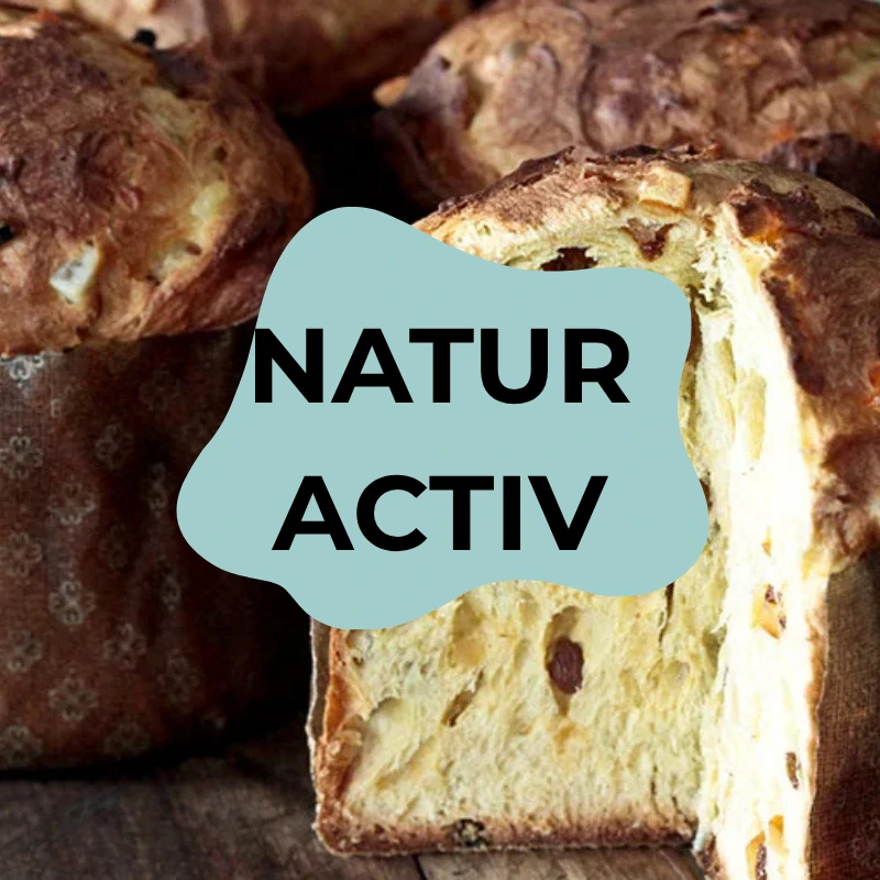 Natur Activ 1kg - matičná kvasná kultúra