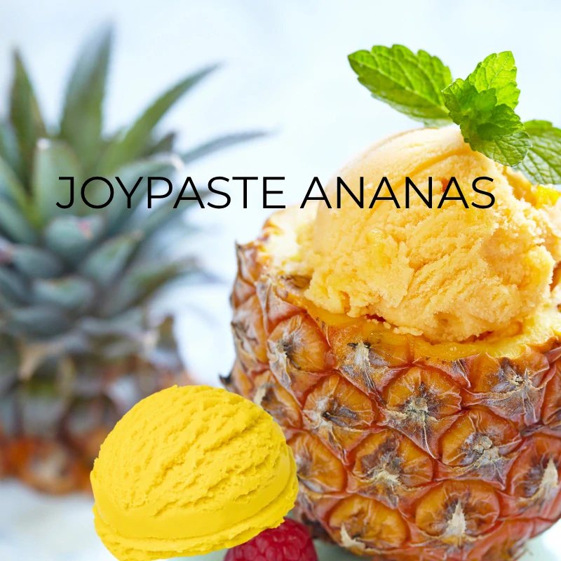 Joypaste Ananas 1,2kg