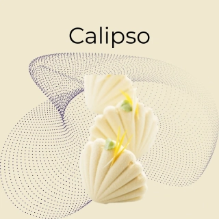 Calipso - silikónová forma