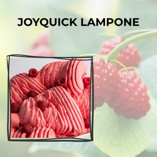 Joyquick Lampone 1,25kg 