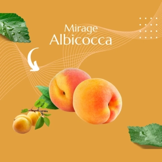 Mirage Albicocca 5 kg - zrkadlová poleva marhuľová