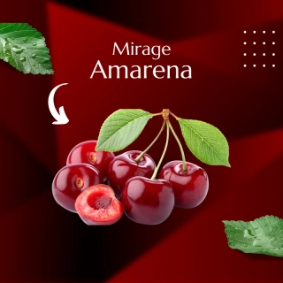Mirage Amarena 5kg- zrkadlová višňová poleva