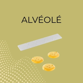 Alvéolé 