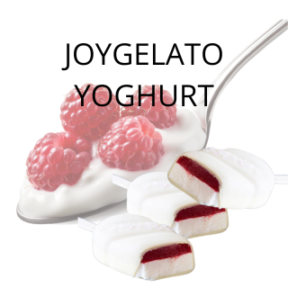 Joygelato Yoghurt 1kg