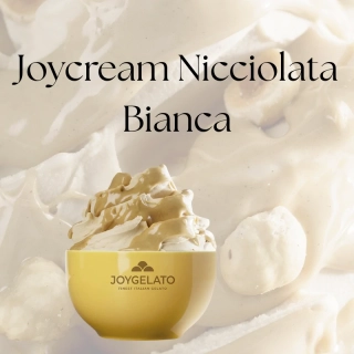 Joycream Nocciolata Bianca 5kg