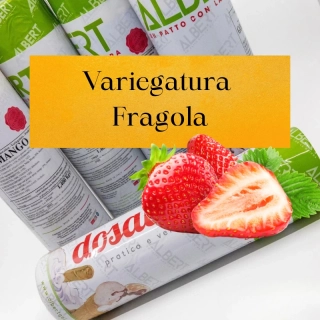 Variegatura Fragola 1,4kg