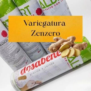Variegatura Zenzero 1,4kg