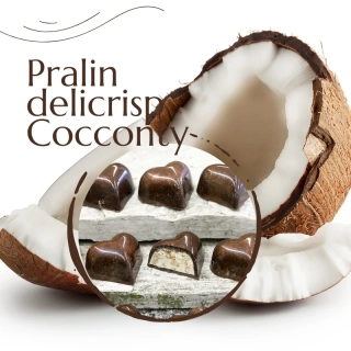 Praline Delicrisp Cocconty 5kg