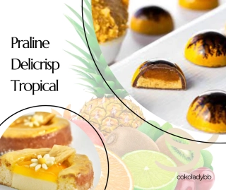 Praline Delicrisp Tropical 5kg