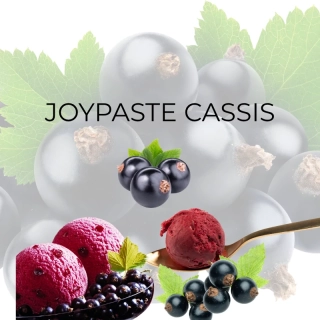 Joypaste Cassis 1,2kg
