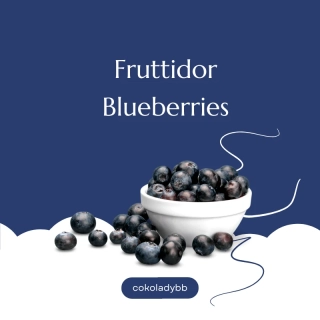 Fruttidor Blueberry  3,3kg - ovocná náplň čučoriedka 